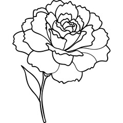 Line art of a carnation vector illustration	