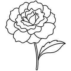 Line art of a carnation vector illustration	