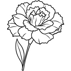 Line art of a carnation vector illustration	