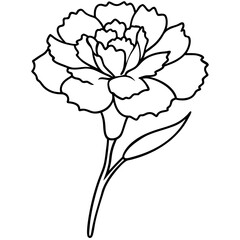 Line art of a carnation vector illustration	