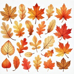 Obraz premium A collection of vibrant autumn leaves in various shapes and colors, perfect for seasonal designs and nature themes.
