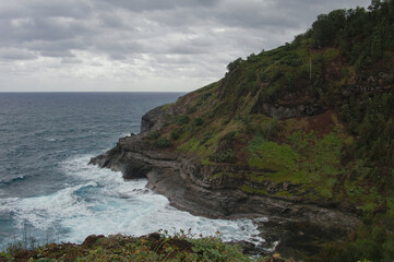 Beautiful nature landscape scenery with cliffs, mountains, volcanos lava fields with lush tropical island vegetation and flowers in Hawaii paradise isle
