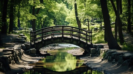 Fototapeta premium bridge in the forest 