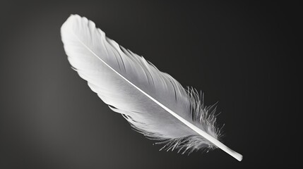 Obraz premium Feathers detail captured against a solid monochrome backdrop AI generated illustration