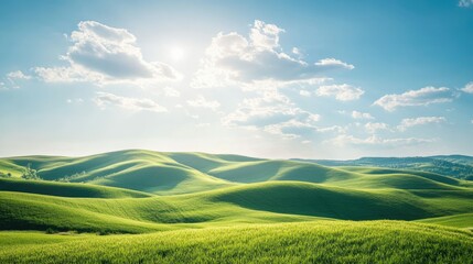 Fototapeta premium Scenic view of rolling green hills and a bright summer sky