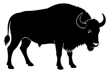 Buffalo silhouette vector art illustration