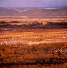 秋の釧路湿原（釧路町）