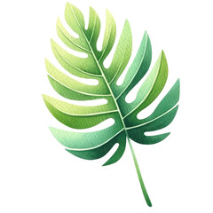 Close-up of a green tropical leaf with detailed veins, perfect for nature, botanical, and eco-themed designs.