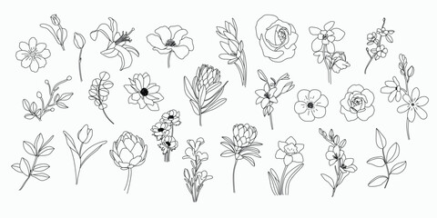 Set of hand drawn botanical flower line art vector. Collection black white contour drawing of foliage, wildflower, poppy, rose, eucalyptus. Illustration design for logo, wedding, invitation, decor.