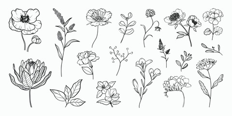 Set of hand drawn botanical flower line art vector. Collection black white contour drawing of foliage, wildflower, poppy, peony, eucalyptus. Illustration design for logo, wedding, invitation, decor.