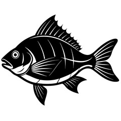 bream fish silhouette Vector SVG