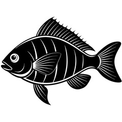 bream fish silhouette Vector SVG