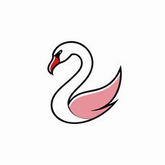 black swan on white background