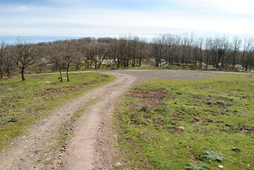 Veduta dei boschi di Punta Palai
