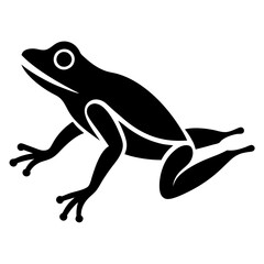 frog on white background