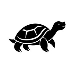 illustration of a turtle