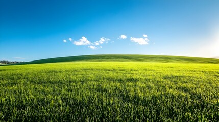 Obraz premium Tranquil Rolling Meadows Bathed in Vibrant Green and Clear Skies