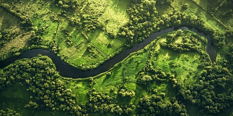 Obraz premium An aerial view of a winding river cutting through a lush green landscape