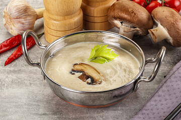 Delicous mushroom champignon cream soup