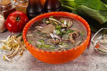 Vietnamese cuisine - Pho Bo soup with beef