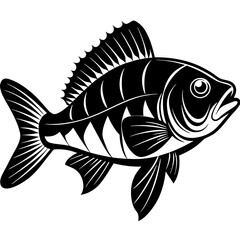 climbing perch fish silhouette Vector SVG