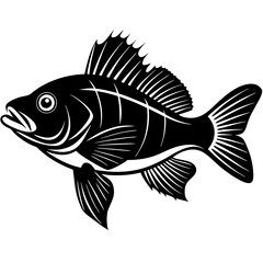 climbing perch fish silhouette Vector SVG