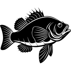climbing perch fish silhouette Vector SVG
