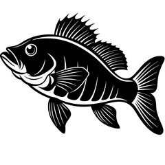 climbing perch fish silhouette Vector SVG