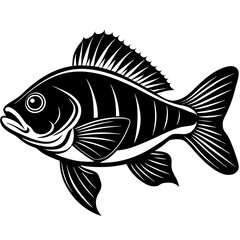 climbing perch fish silhouette Vector SVG