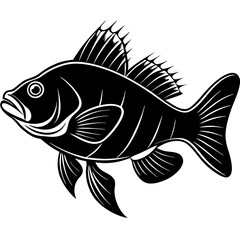 climbing perch fish silhouette Vector SVG