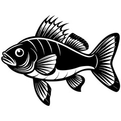 climbing perch fish silhouette Vector SVG