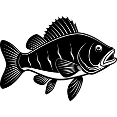climbing perch fish silhouette Vector SVG
