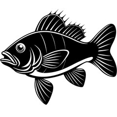 climbing perch fish silhouette Vector SVG