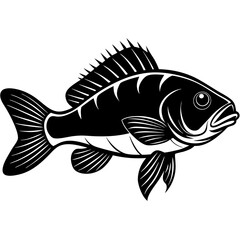 climbing perch fish silhouette Vector SVG