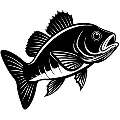 climbing perch fish silhouette Vector SVG