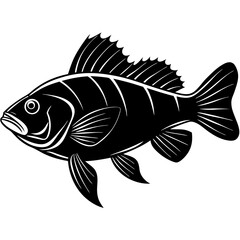 climbing perch fish silhouette Vector SVG