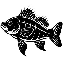 climbing perch fish silhouette Vector SVG