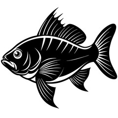 climbing perch fish silhouette Vector SVG