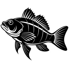 climbing perch fish silhouette Vector SVG