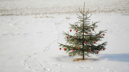 Christmas tree decoration with red bells 