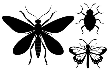 Detailed Insect Silhouettes Vector Art Illustration