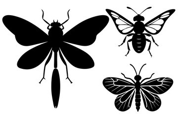 Detailed Insect Silhouettes Vector Art Illustration