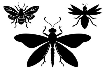Detailed Insect Silhouettes Vector Art Illustration