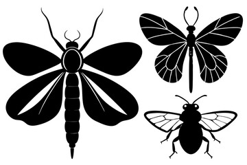 Detailed Insect Silhouettes Vector Art Illustration