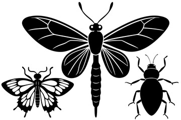 Detailed Insect Silhouettes Vector Art Illustration