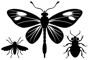 Detailed Insect Silhouettes Vector Art Illustration
