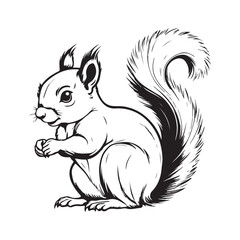 Squirrel line art vector silhouette with white Background