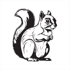 Squirrel line art vector silhouette with white Background