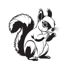 Squirrel line art vector silhouette with white Background
