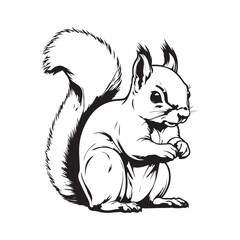 Squirrel line art vector silhouette with white Background